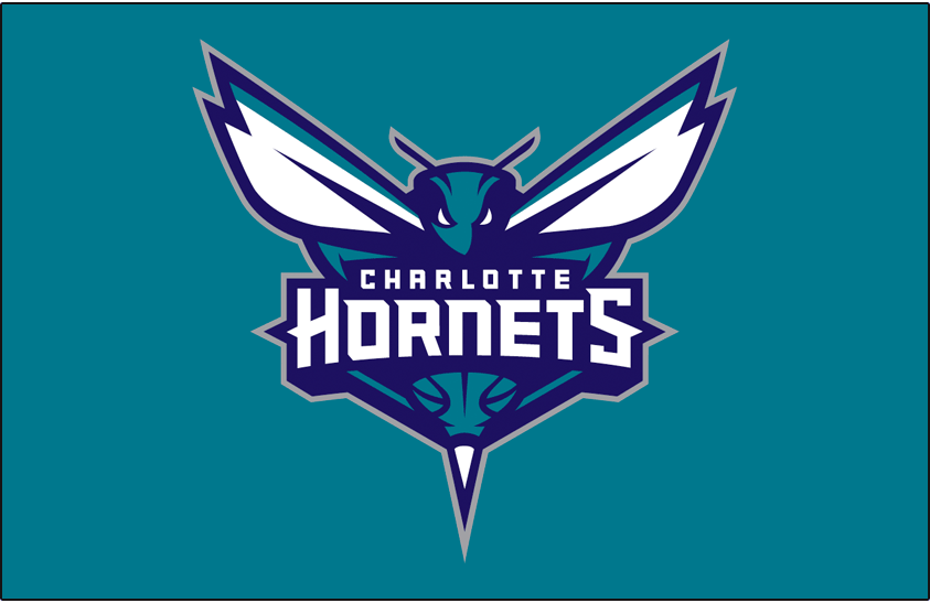 Charlotte Hornets 2014-Pres Primary Dark Logo DIY iron on transfer (heat transfer)
